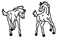A coloring page of horse
