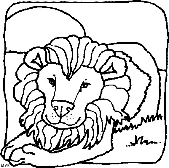 lion003