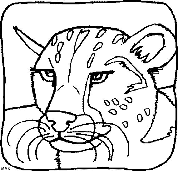 lion004