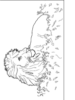 A coloring page of lion