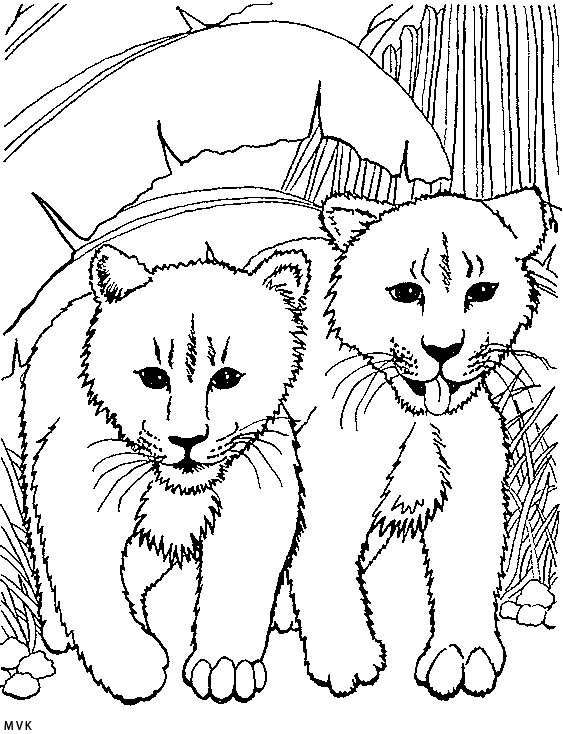 lion010