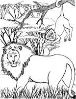 A coloring page of lion