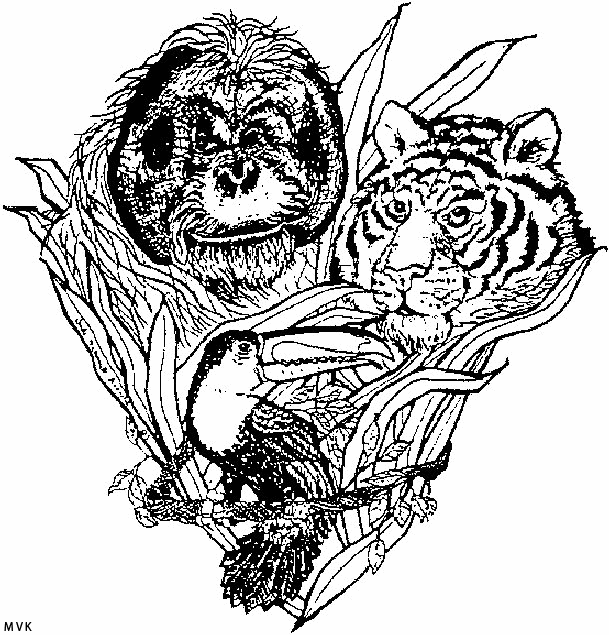 lion012