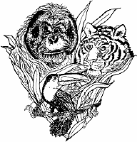 A coloring page of lion