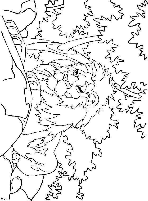 lion015