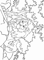 A coloring page of lion