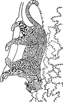 A coloring page of lion