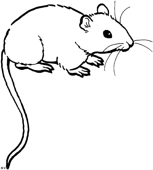 mice023