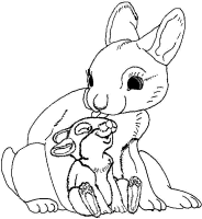 A coloring page of rabbit