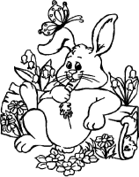 A coloring page of rabbit