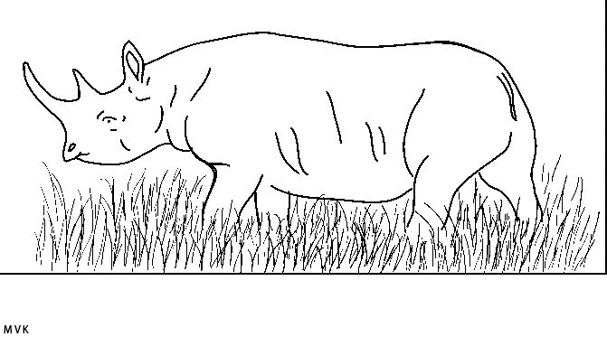 rhinoceros002
