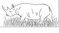 A coloring page of rhinoceros