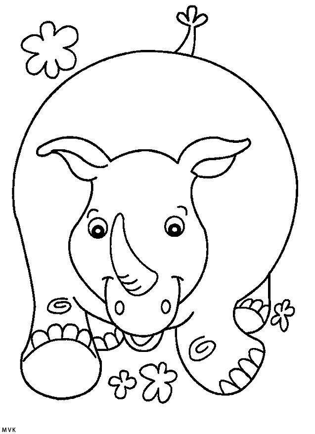 rhinoceros003