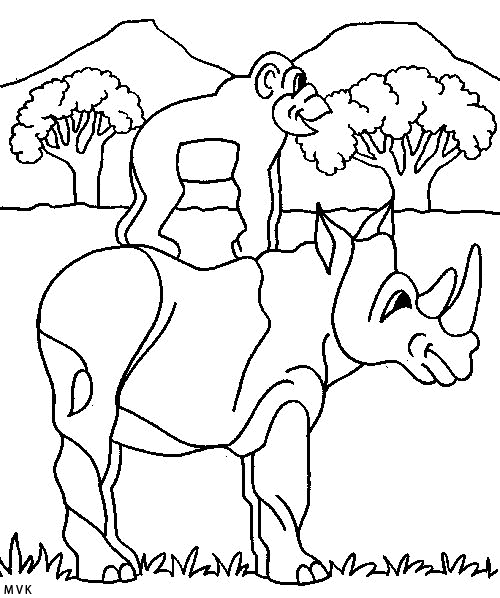 rhinoceros007