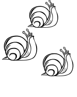 A coloring page of slug