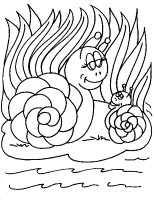 A coloring page of slug