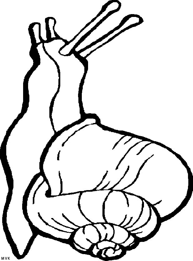 slug009