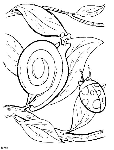 slug014