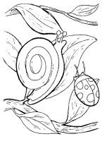 A coloring page of slug