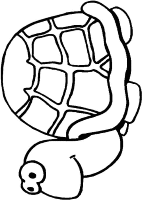 A coloring page of turtle