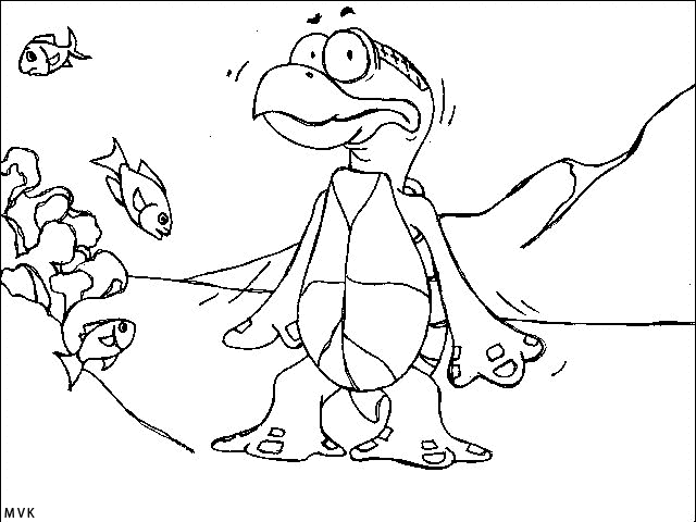 turtle008