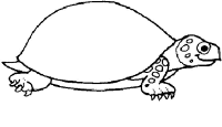 A coloring page of turtle