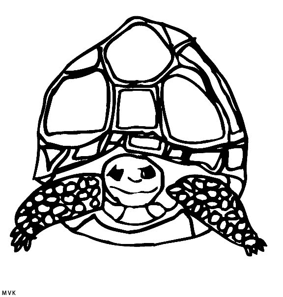 Mega Coloring Pages