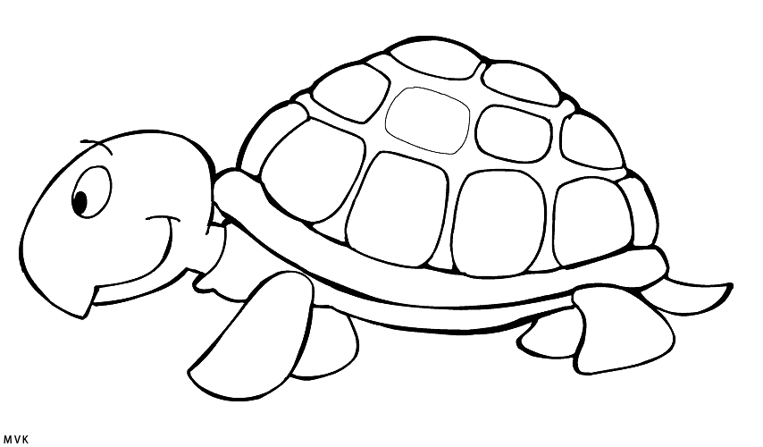 turtle024