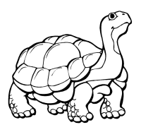 A coloring page of turtle