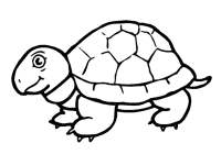 A coloring page of turtle
