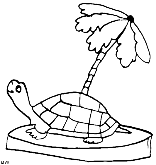 turtle028