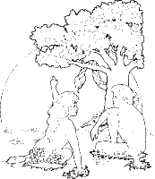 A coloring page of genesis