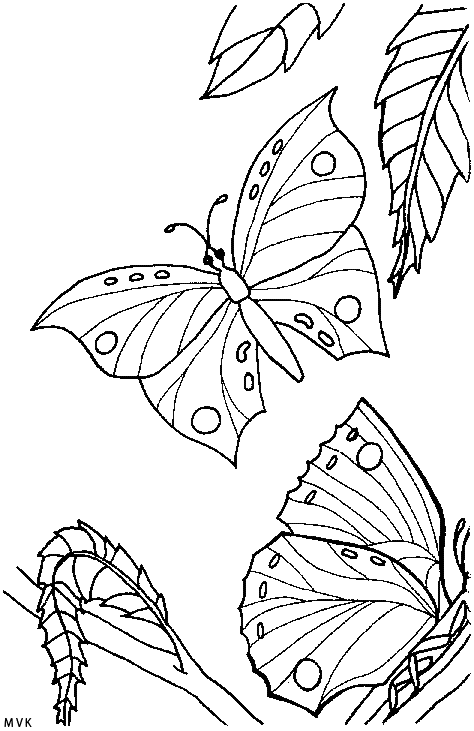 genesis034
