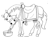 A coloring page of sinterklaas