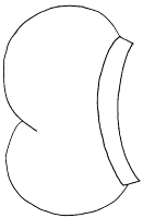 A coloring page of sinterklaas