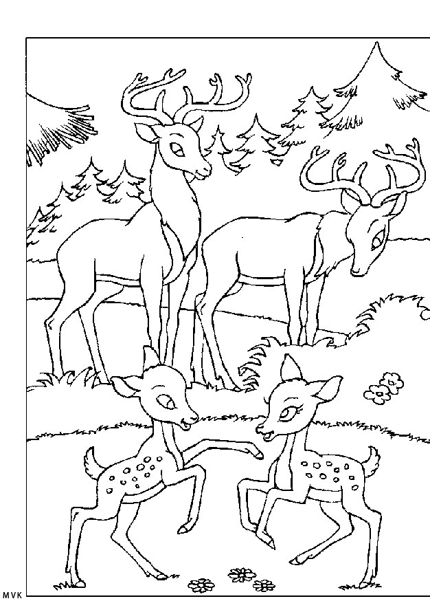 bambi011