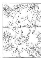 A coloring page of bambi