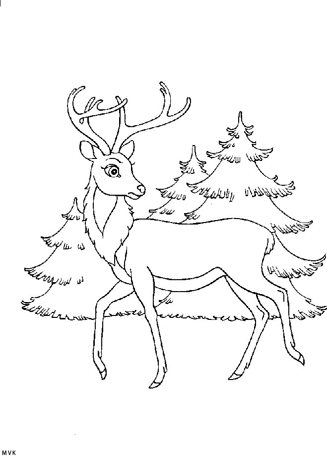 bambi032