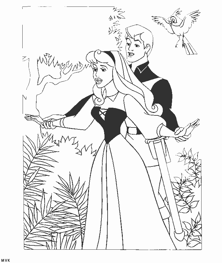cinderella002
