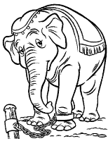 A coloring page of dumbo