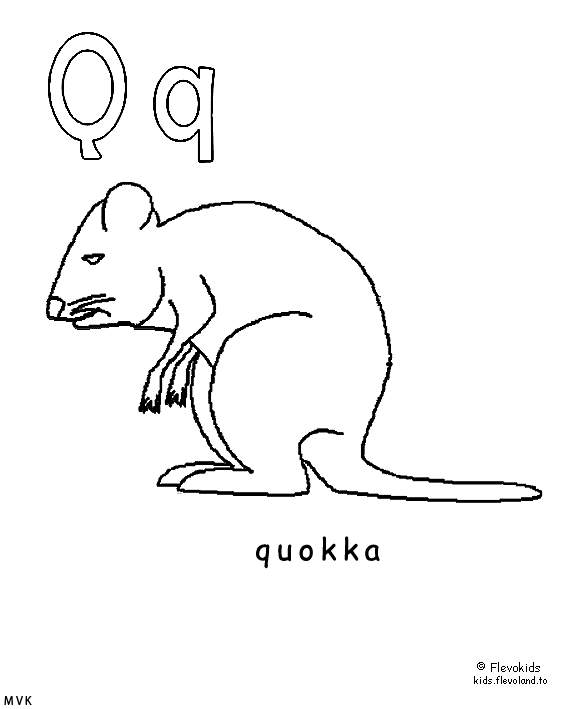 alphabet017