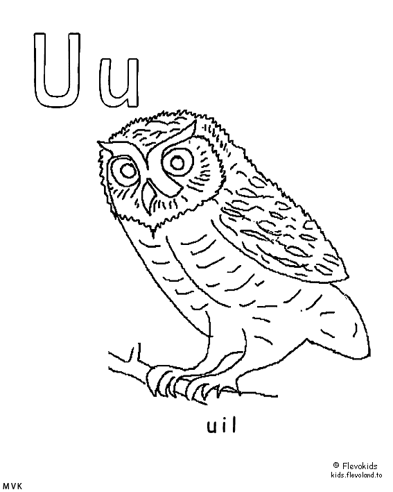 alphabet047