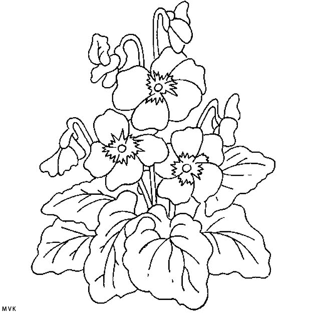 flower002