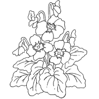 A coloring page of flower