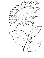 A coloring page of flower