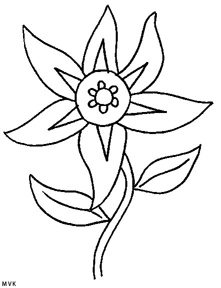 flower005
