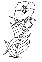 A coloring page of flower