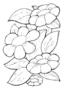 A coloring page of flower