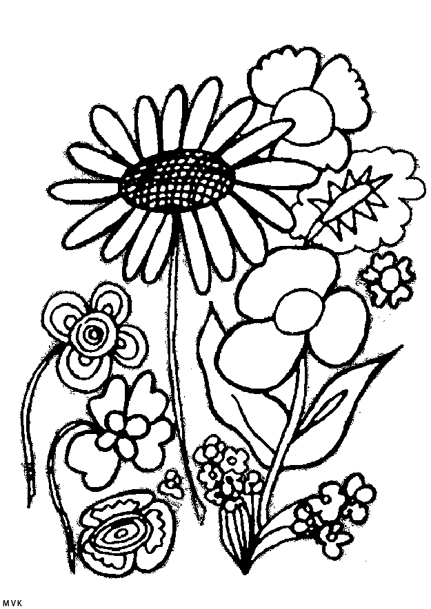 flower011