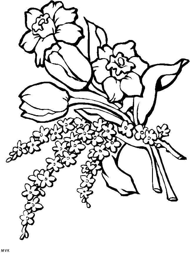 flower012
